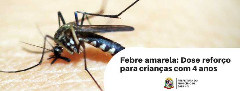 Febre Amarela: Dose de reforço da vacina para crianças com 4 anos de idade